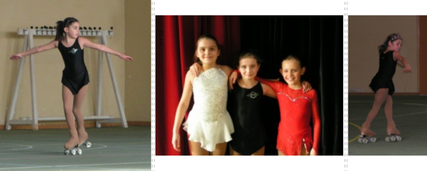 Patin - janvier 2010